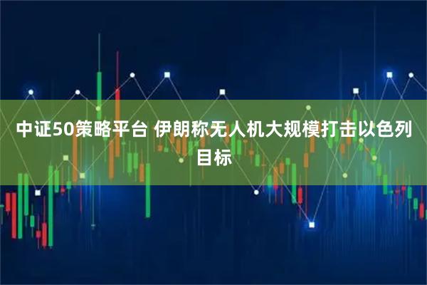 中证50策略平台 伊朗称无人机大规模打击以色列目标